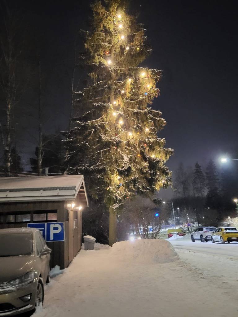 Joulukuusi Kaivosrinteentiellä